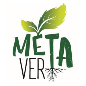 Logo metavert